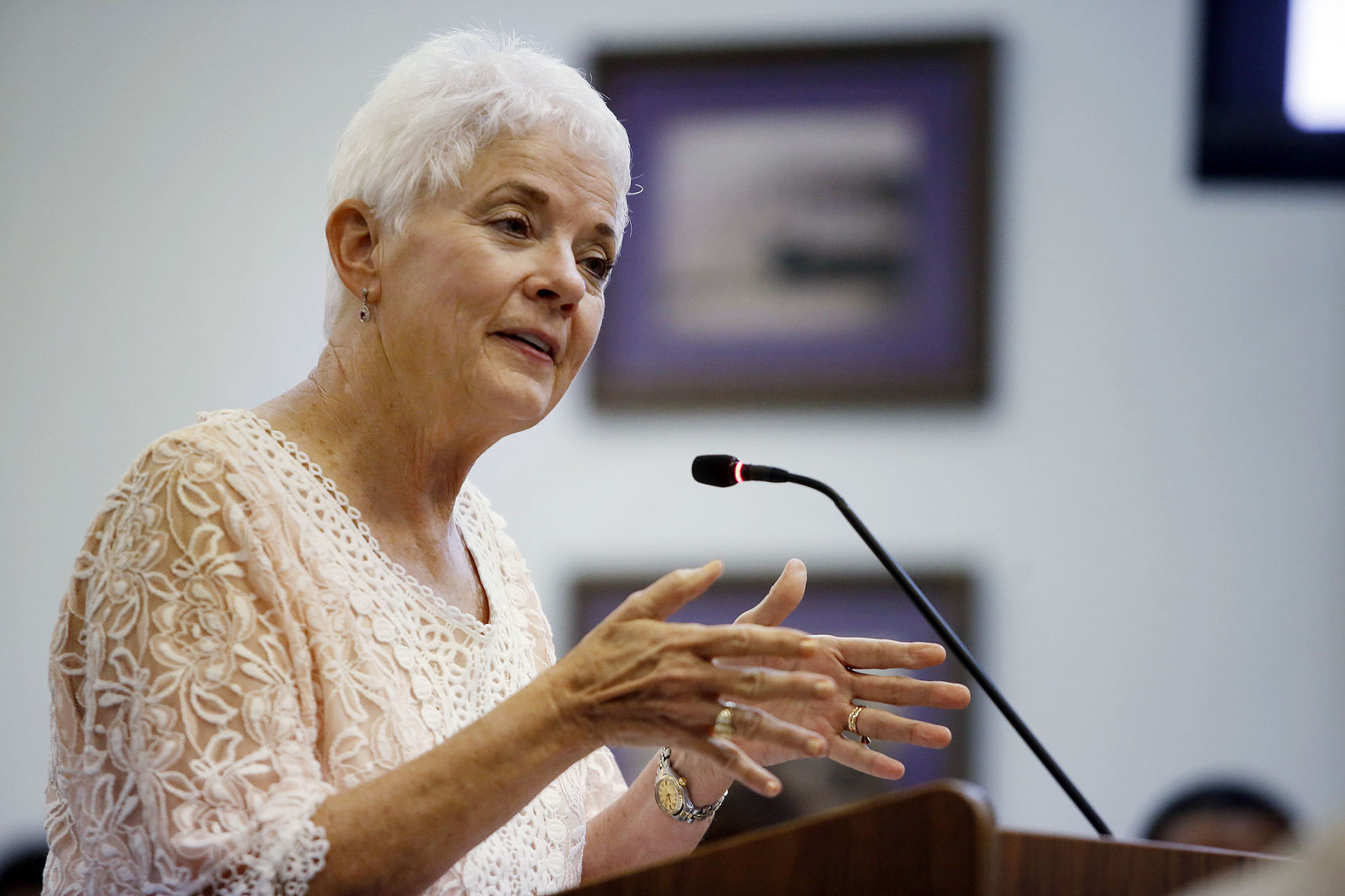 City Coucil Public Hearing